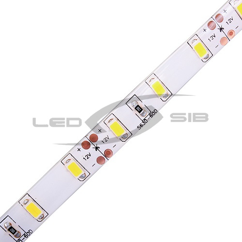 светодиодная лента ls эко smd 5630-300-12 ip33 720lm (двухслойная) Светодиодная лента LS ЭКО SMD 5630-300-12 IP33 720Lm (двухслойная)