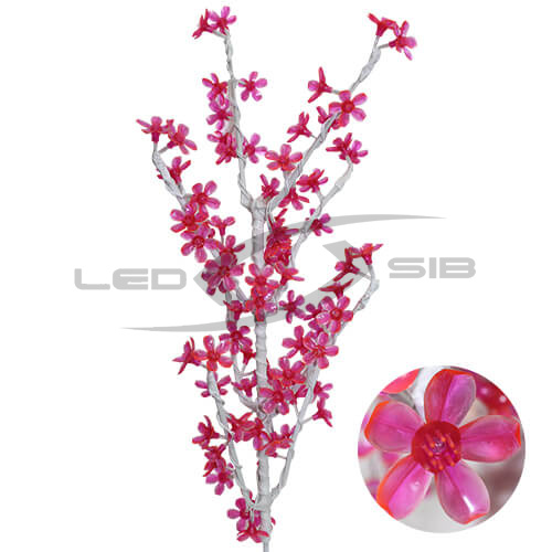 Ветка Баухиния